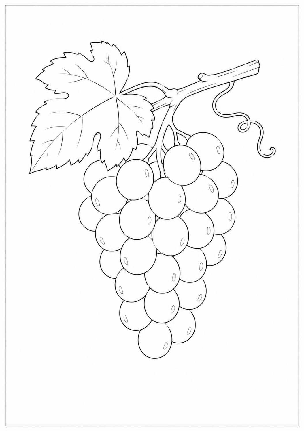 A4 size printed drawing sheet grapes drawing